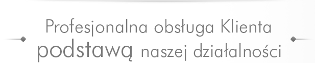 Profesjonalna obsługa Klienta podstawą naszej działalności